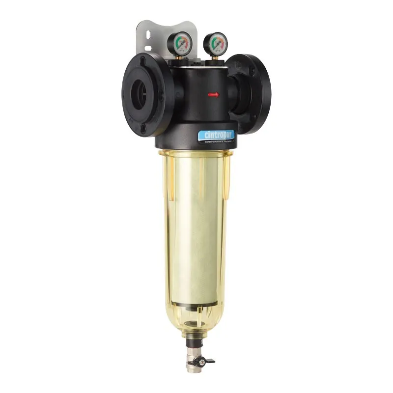 Filtr Cintropur NW 650 Filtr Cintropur NW 650