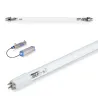 Żarnik do lampy TMA D2