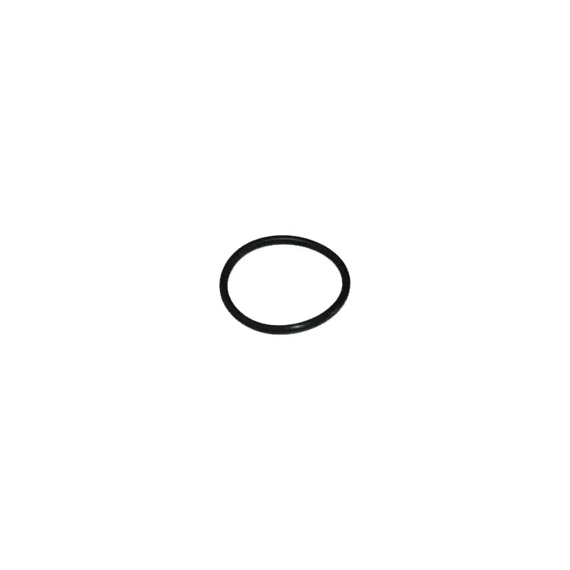 Uszczelka do przyłączy Cintropur NW 18, NW 25, NW 32, TIO