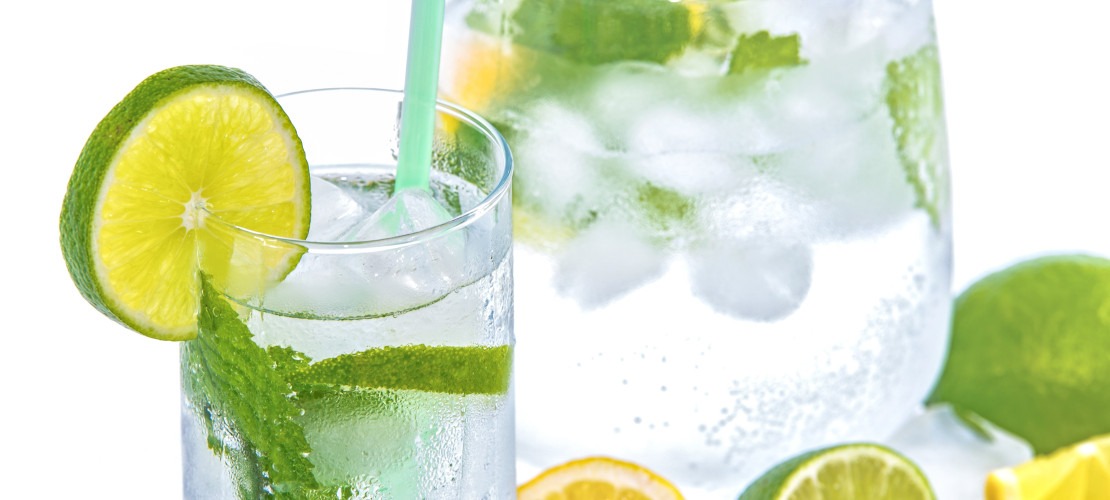 Ecoperla Elixir - alternatywa dla jonizatorów wody